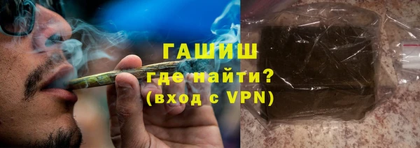 шишки Коряжма