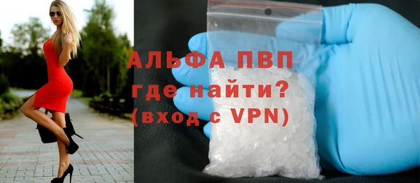прущие грибы Киренск