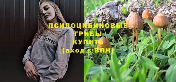 не бодяженный Козельск