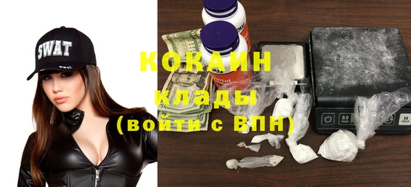 стафф Козловка