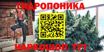 дмт Волгодонск