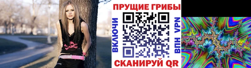 что такое   Касимов  Псилоцибиновые грибы Psilocybine cubensis 