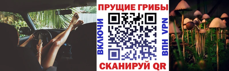 Псилоцибиновые грибы мицелий Касимов