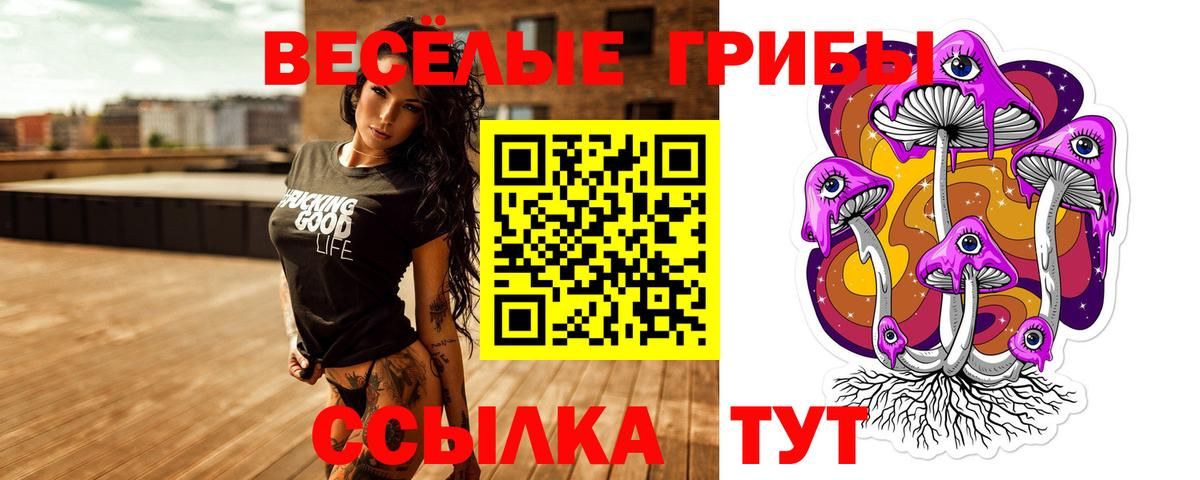Касимов  Псилоцибиновые грибы MAGIC MUSHROOMS  Вход с VPN 
